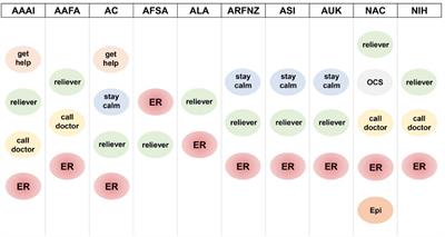 Asthma Action Plans: An International Review Focused on the Pediatric Population